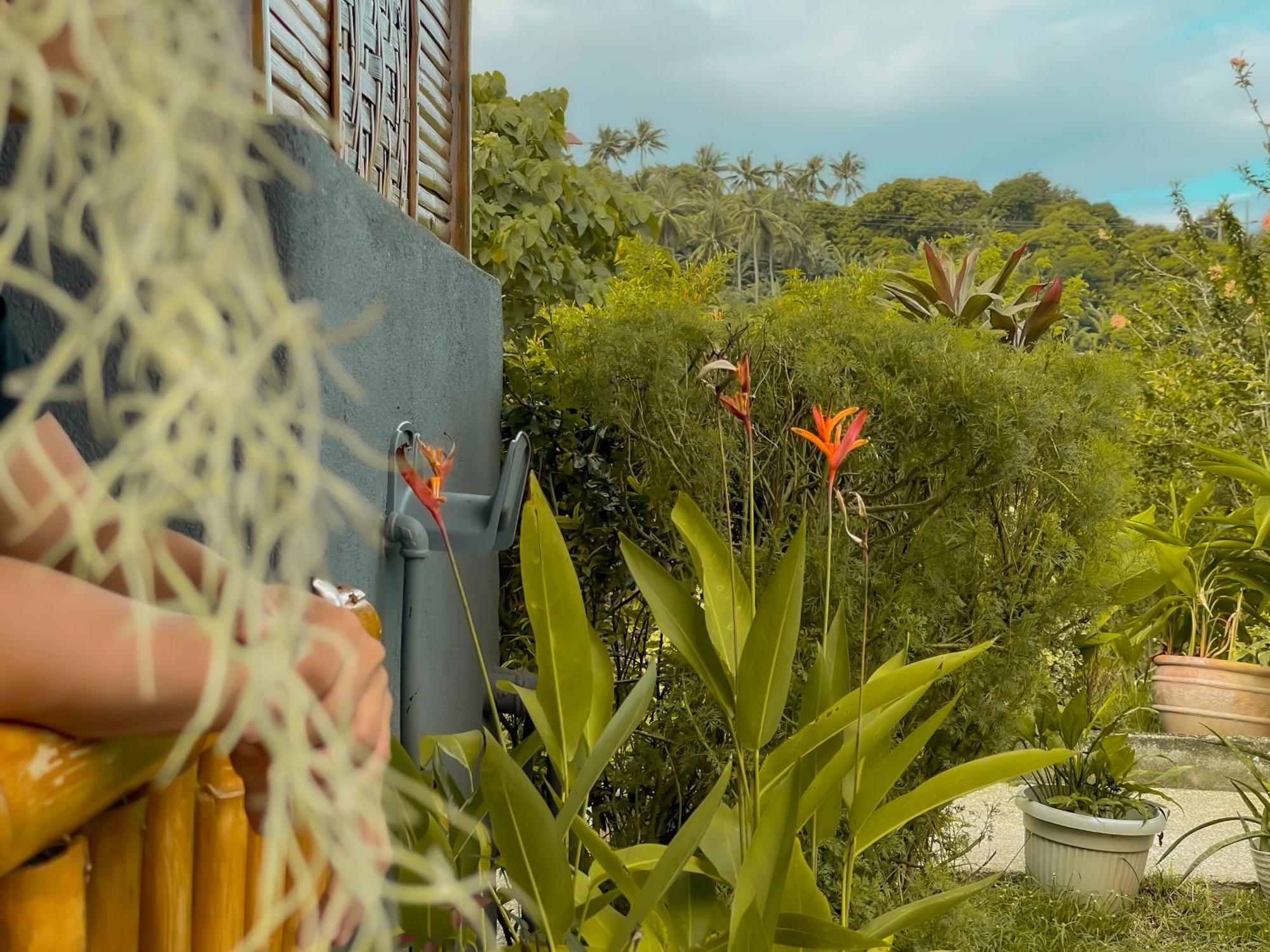 Galera Lodge 波尔多·格尼拉 外观 照片